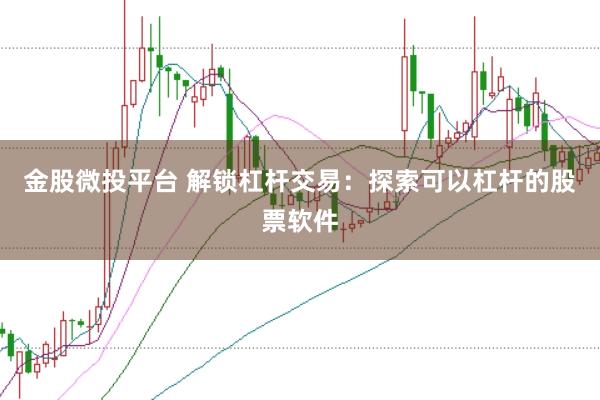 金股微投平台 解锁杠杆交易：探索可以杠杆的股票软件