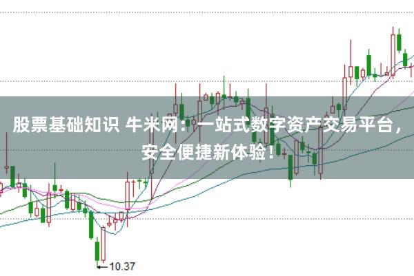 股票基础知识 牛米网：一站式数字资产交易平台，安全便捷新体验！