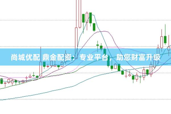 尚城优配 鼎金配资：专业平台，助您财富升级
