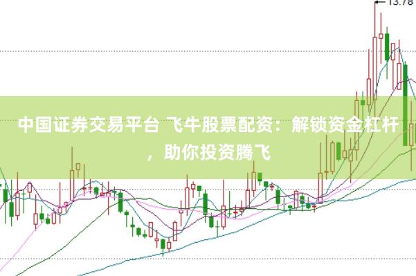 中国证券交易平台 飞牛股票配资：解锁资金杠杆，助你投资腾飞