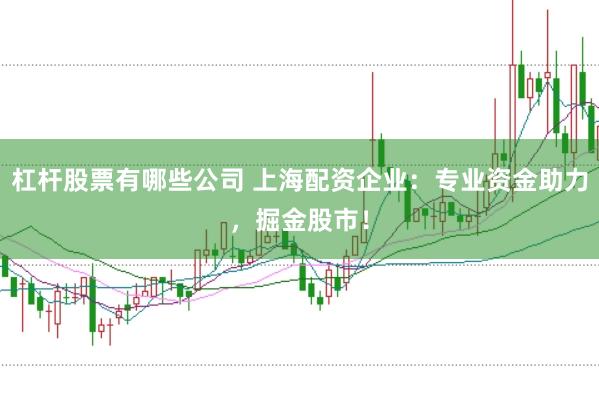杠杆股票有哪些公司 上海配资企业：专业资金助力，掘金股市！