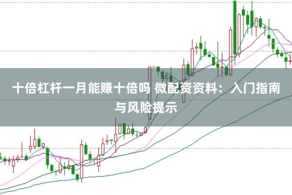 十倍杠杆一月能赚十倍吗 微配资资料：入门指南与风险提示