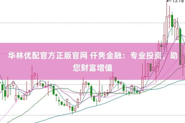 华林优配官方正版官网 仟隽金融：专业投资，助您财富增值