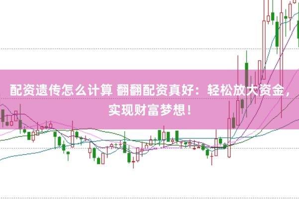 配资遗传怎么计算 翻翻配资真好：轻松放大资金，实现财富梦想！
