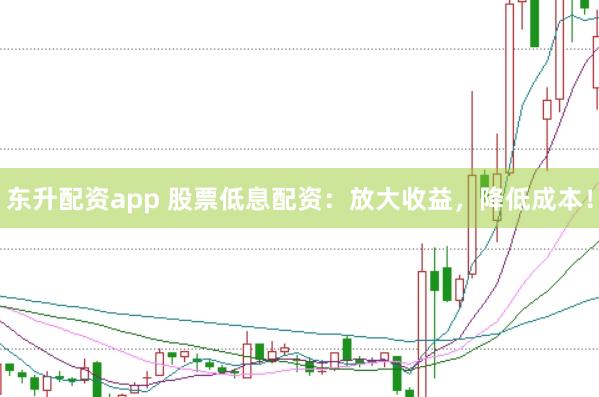 东升配资app 股票低息配资：放大收益，降低成本！