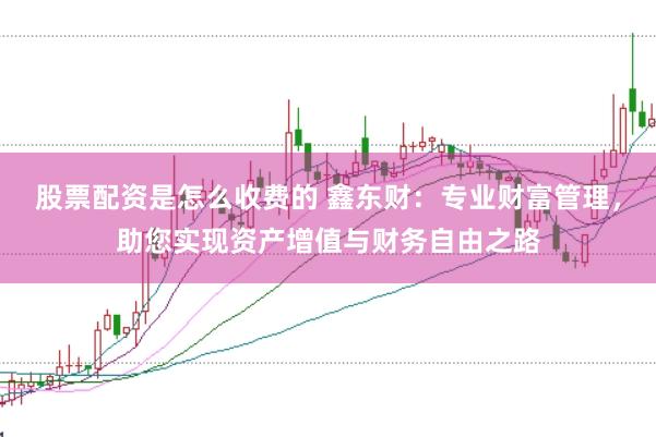 股票配资是怎么收费的 鑫东财：专业财富管理，助您实现资产增值与财务自由之路