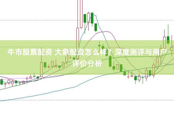 牛市股票配资 大象配资怎么样？深度测评与用户评价分析