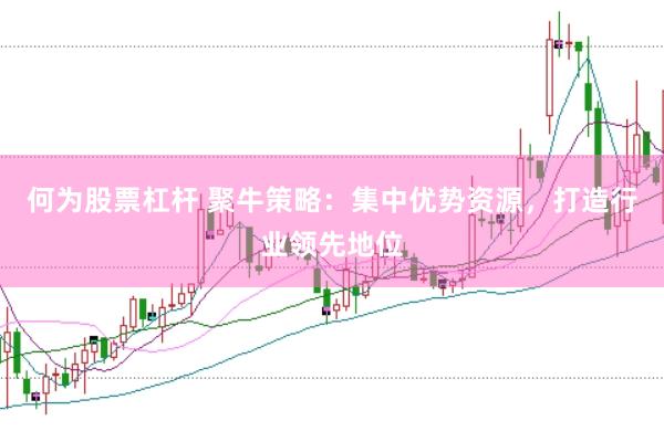 何为股票杠杆 聚牛策略：集中优势资源，打造行业领先地位