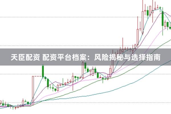 天臣配资 配资平台档案：风险揭秘与选择指南