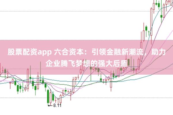 股票配资app 六合资本:引领金融新潮流,助力企业腾飞梦想的强大后盾