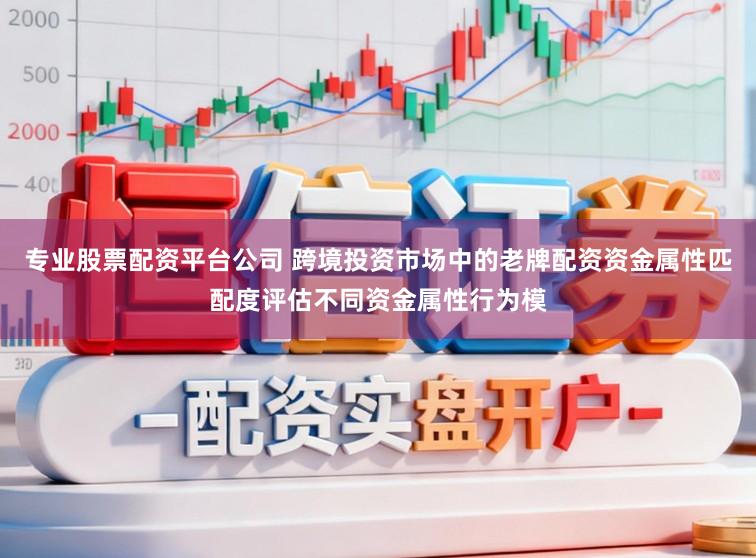 专业股票配资平台公司 跨境投资市场中的老牌配资资金属性匹配度评估不同资金属性行为模
