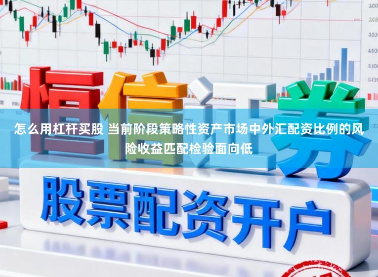 怎么用杠杆买股 当前阶段策略性资产市场中外汇配资比例的风险收益匹配检验面向低