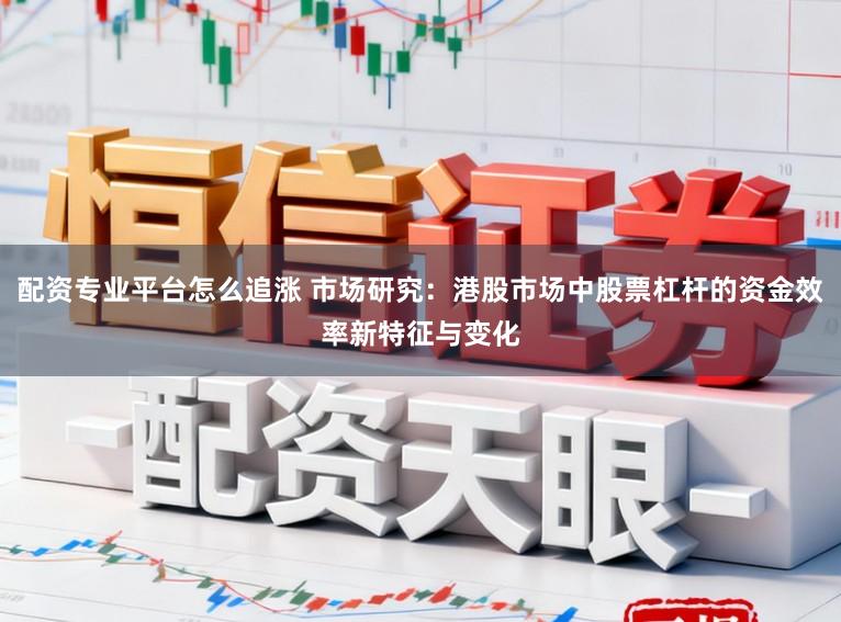 配资专业平台怎么追涨 市场研究：港股市场中股票杠杆的资金效率新特征与变化